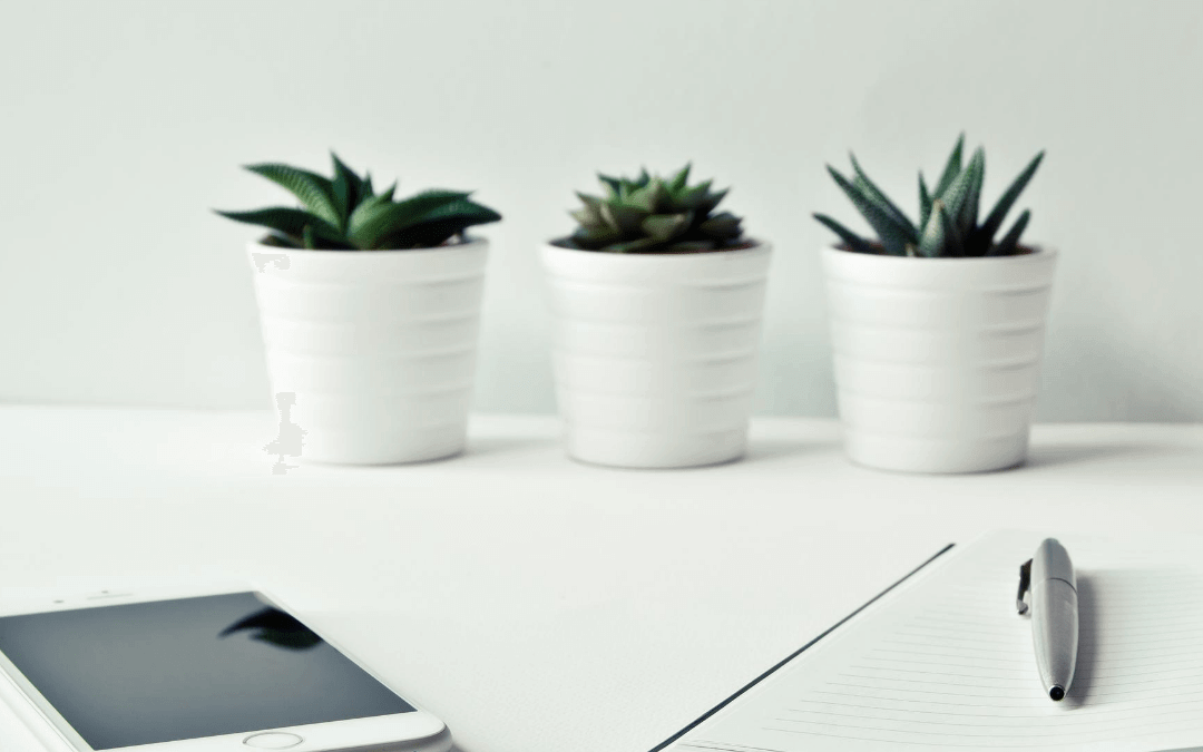 Impact Makers – Journal Entry #1 to Becoming More Racially Just