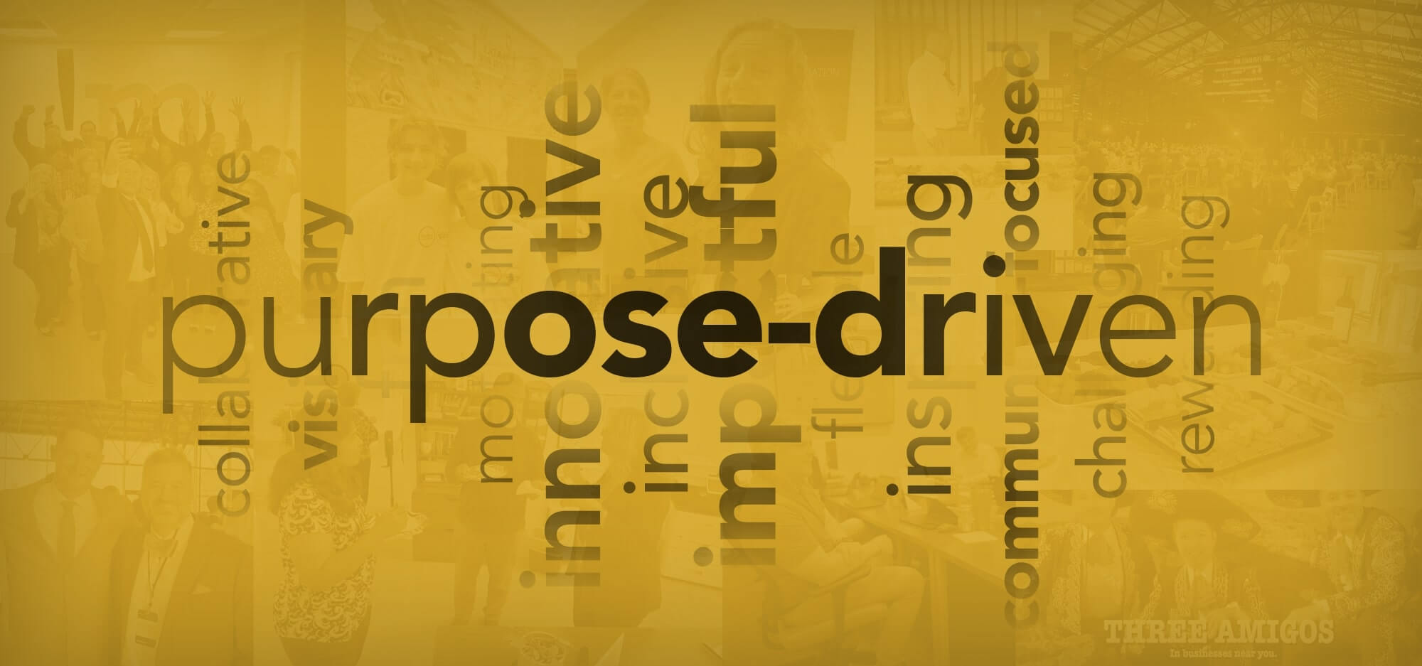 Words_Reasons Why_People