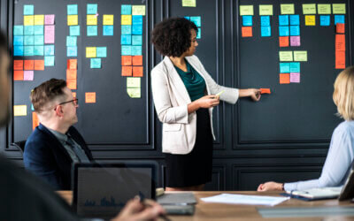 Program & Project Management
